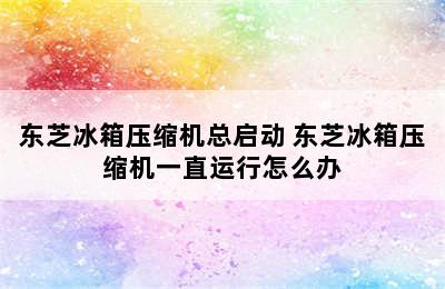 东芝冰箱压缩机总启动 东芝冰箱压缩机一直运行怎么办